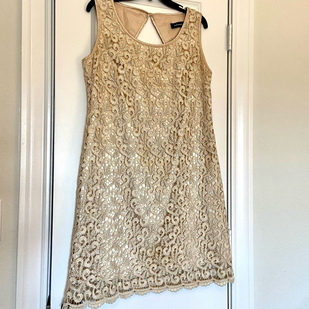 HP 🎉🤩 R&M Richards Lace overlay Gold Sleeveless Dress